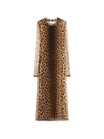 Sportmax Esordio Animal Print Crew Neck Dress In Multi