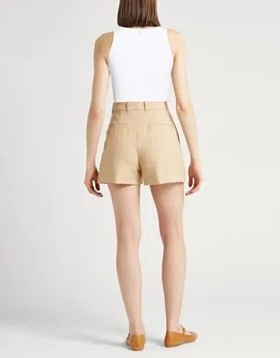 Sportmax Fashion Solid Color Knit Vest In Neutral