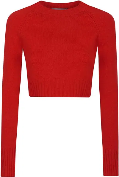 SPORTMAX SPORTMAX "FRAGOLA" CROPPED SWEATER