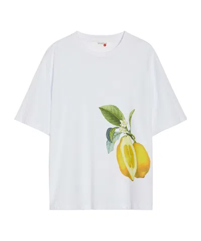 Sportmax Fruit Printed T-shirt In White