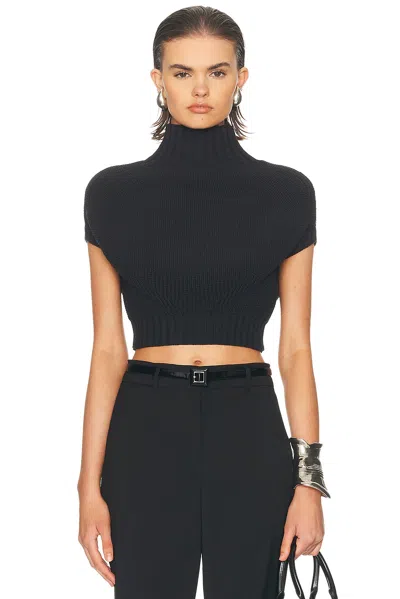 Sportmax Fulmine Sweater In Black