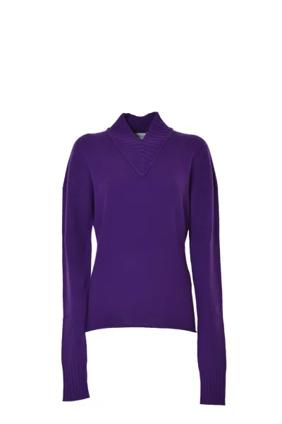 Sportmax High Ribbed Collar Cashmere-wool Blend Pullover In Blue