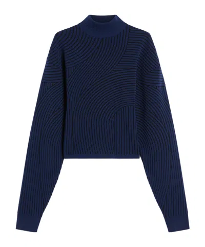 Sportmax Jersey De Jacquard 3d In Blue