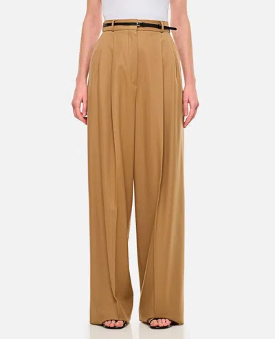 Sportmax Kiens12 Wide Leg Pants In Brown