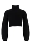 Sportmax Cropped High Neck Long Sleeve Knit Sweater In Black