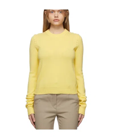 Sportmax Logo Round-neck Knit Pullover In Yellow