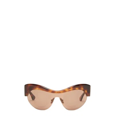 Sportmax Logo Sunglasses In Brown