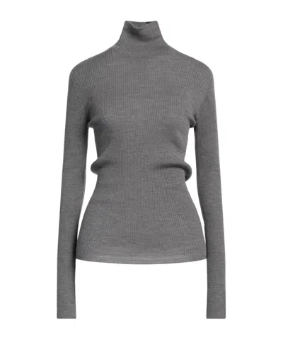 Sportmax Long Sleeve Polo Necks In Gray