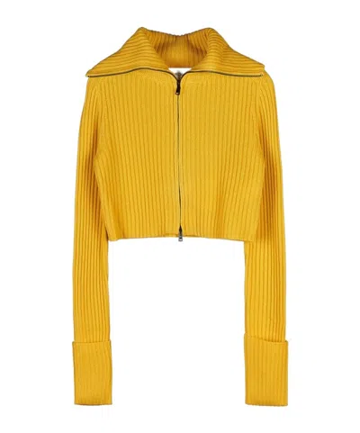 Sportmax Long-sleeved Sweater In Yellow