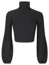 Sportmax Turtleneck Sweater In Black