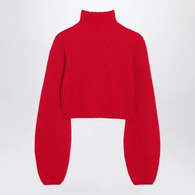 Sportmax Cropped Wool Turtleneck Knit Jumper In Red