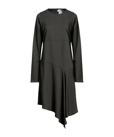 Sportmax Minimalist Long-sleeve Dress In Black