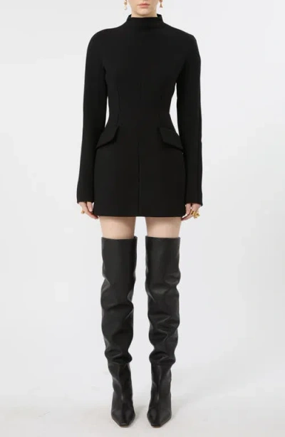 Sportmax Mock Neck Long Sleeve Minidress In Black
