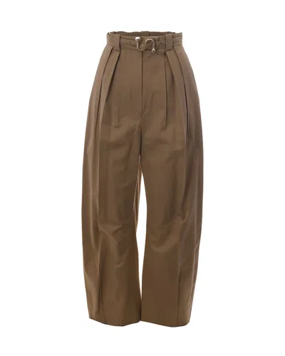 Sportmax Beige Oversized Pleated Pants In Brown