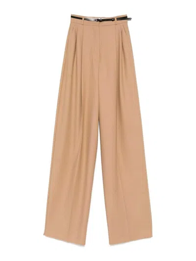 Sportmax Pants In Brown