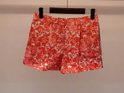 Sportmax Pattern Shorts In Red