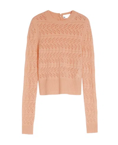 Sportmax Perforated Crewneck Knitted Jumper In Pink