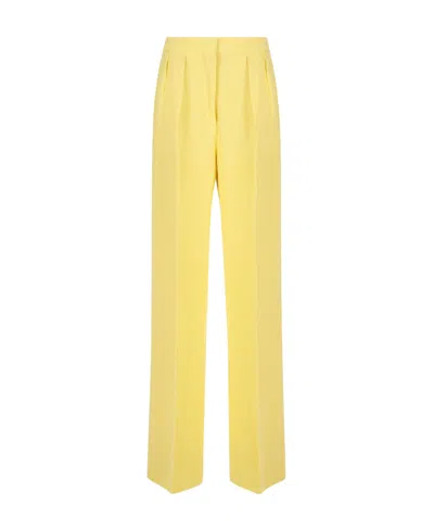 Sportmax Pleat Detailed Straight Leg Trousers In Yellow