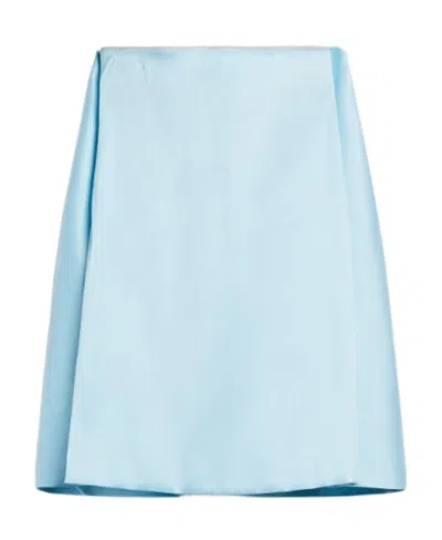 Sportmax Pleated Skirt In Blue