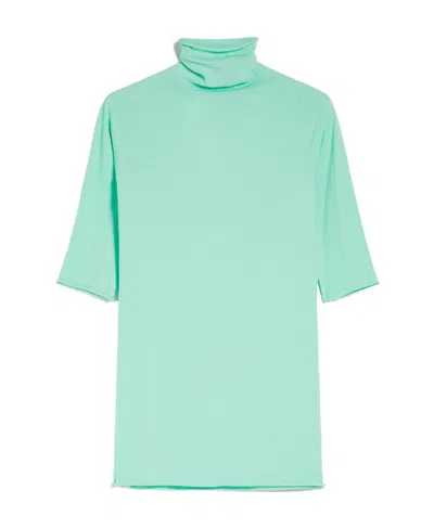 Sportmax Polo Collar Sweater In Green