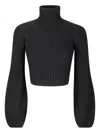 Sportmax Turtleneck Sweater In Gray