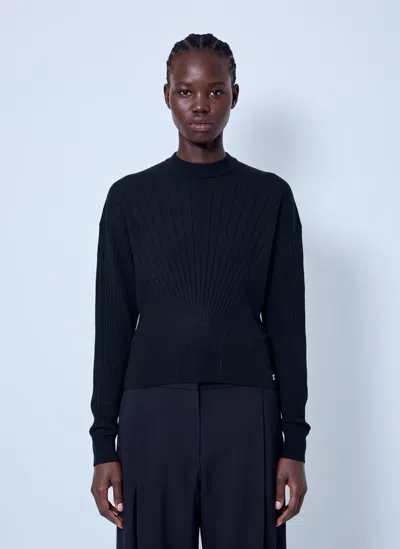 Sportmax Ribbed Knit Sweater In Black