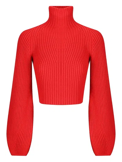Sportmax Marmo Bell Sleeve Crop Sweater In Red