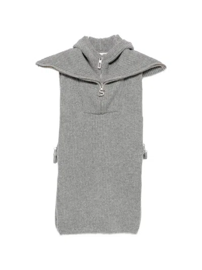 Sportmax Ribbed-knit Hooded Knit In Gray