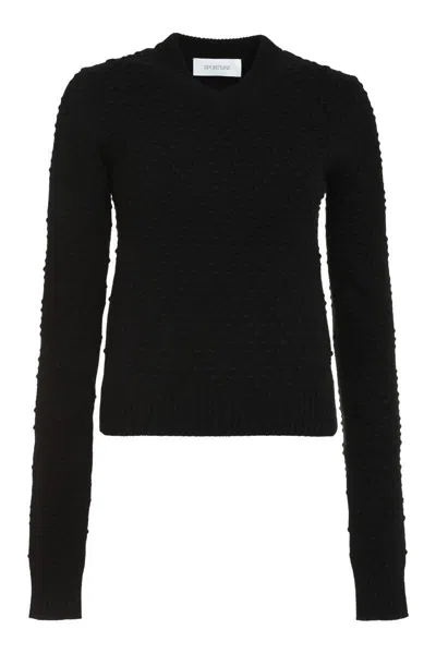 Sportmax Salve Wool And Cashmere Sweater