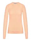 Sportmax Semi-transparent Top In Nude & Neutrals