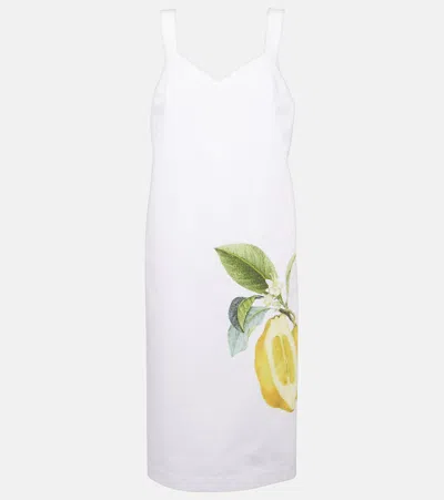 Sportmax Sesia Printed Cotton Midi Dress In 001bianco Ottico