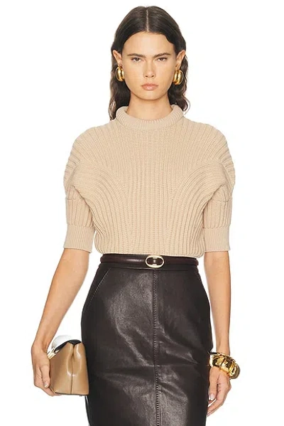 Sportmax Short Sleeve Sweater In Gray