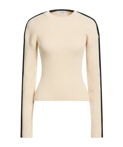 Sportmax Solid Color Lightweight Knit Top In Gray