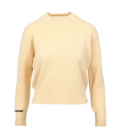 Sportmax Sport Max Sweaters In Neutral