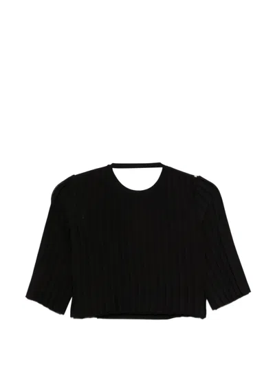 Sportmax Spscamera Ribbed Cropped T-shirt In Black