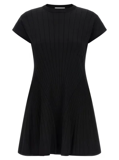 Sportmax Spxere Dress Short Sleeves Crew Neck In Black