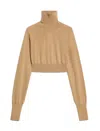 Sportmax Maglia Ululato A Lupetto Cropped In Brown