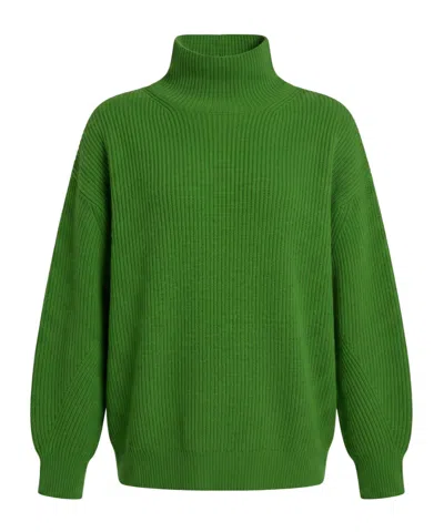 Sportmax Thickened Turtleneck Knit Sweater In Green