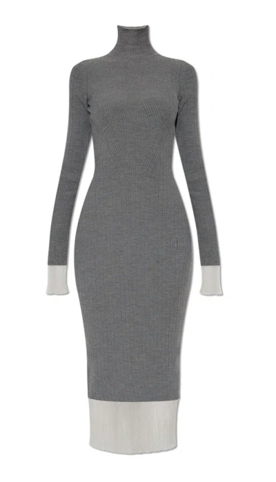 Sportmax Turtleneck Long-sleeved Midi Dress In Grey