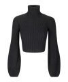 Sportmax Turtleneck Sweater In Black