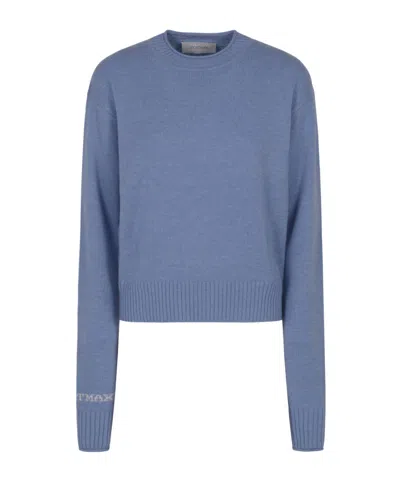 Sportmax Turtleneck Sweater In Blue