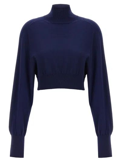 Sportmax Ululato Sweaters And Cardigans Blue In Black