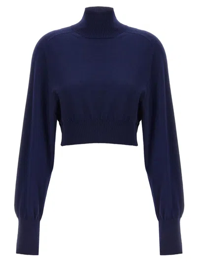 SPORTMAX SPORTMAX 'ULULATO' TURTLENECK SWEATER