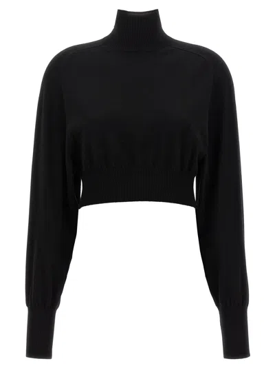 Sportmax 'ululato' Turtleneck Sweater In Black