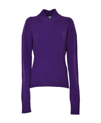Sportmax V-neck Long Sleeved Jumper In Purple