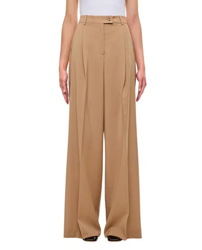 Sportmax Vela Cropped Pants In Brown