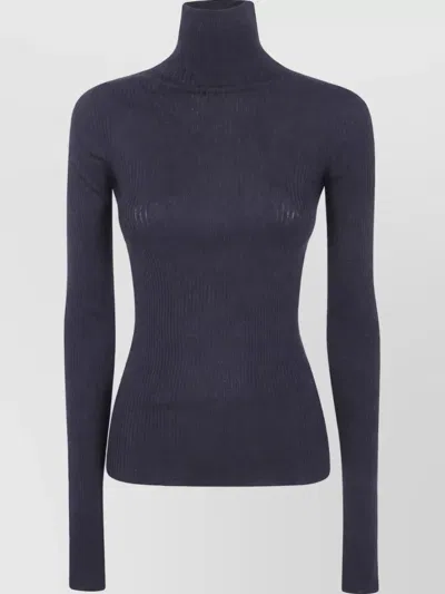 Sportmax Virgin Wool Ribbed Turtleneck Sweater In Blue