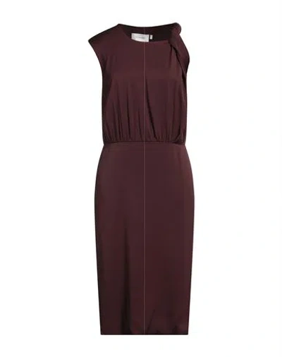 Sportmax Woman Midi Dress Chocolate Brown Size 6 Silk, Elastane