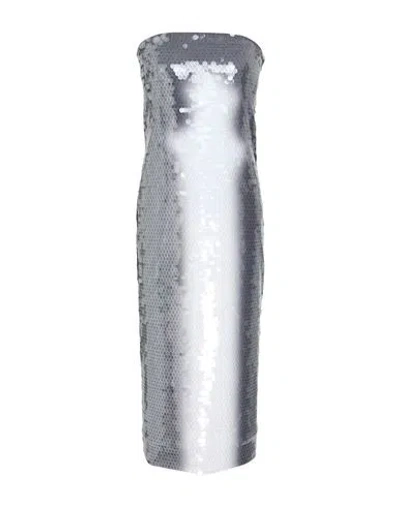 Sportmax Woman Midi Dress Grey Size M Polyamide, Elastane In Gray