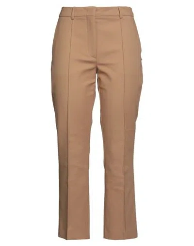 Sportmax Woman Pants Camel Size 12 Cotton, Polyamide, Elastane In Brown